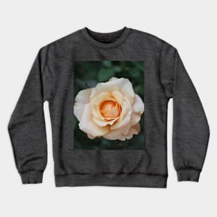 White rose blossom with bright yellow center Crewneck Sweatshirt